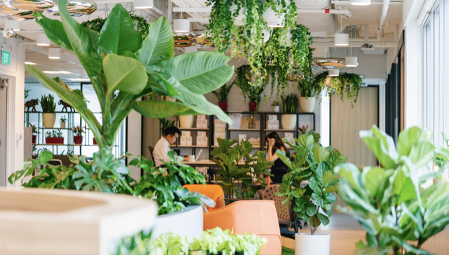 新加坡,创业,共享办公,O2Work