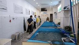 “渝湖牌水库鱼”向“冒牌鱼”说不，擦亮重庆水库渔业新名片