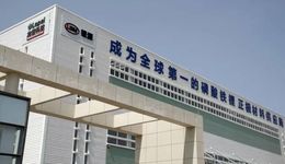 龙蟠科技：一年暴富，理财上瘾？