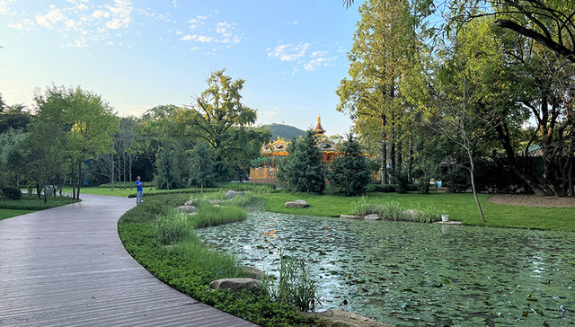 对话青岛市园林和林业局副局长丛锦松：用提升城市绿化改善人居生活环境