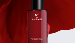 “東方神油”山茶花，植物護(hù)膚被隱藏的實(shí)力派？