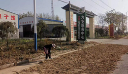 新乡延津县供销社林下“掘金” 助农增收