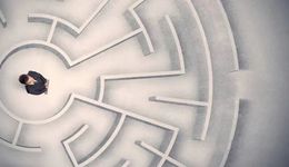 “杀价梦魇”：这些经销商在忧虑什么？