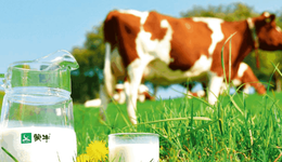 三年砸掉近200亿营销费，蒙牛的液态奶只玩了个“寂寞”？