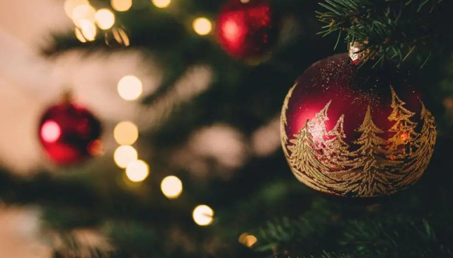 圣诞,文化,图书,花朵与探险