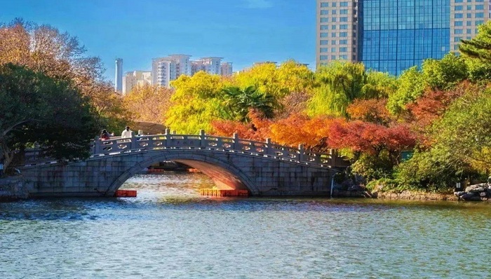 浓墨重彩，疗愈人心！快来寻找普陀街头的冬日美景 