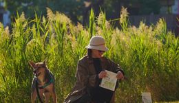 千億級寵物食品賽道已踏上創(chuàng)新征程，替代蛋白原料將成為未來趨勢