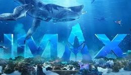 每秒花4万美元，为什么说《阿凡达2》每一帧都是经费在燃烧？