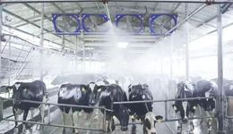 中国农业数字化，乳业能否打响第一枪？