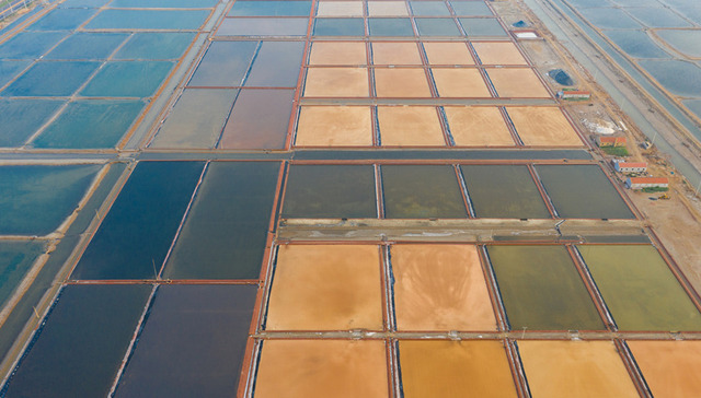 宋永祥在青岛推介滨州的“八个与众不同”