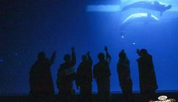 2022，综艺十大“关键词”