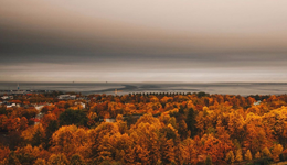 茅臺經(jīng)營業(yè)績會：現(xiàn)金流大降與主業(yè)無關(guān)，超額完成年度目標(biāo)