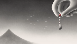 《中国奇谭》全网刷屏，B站动画又行了？