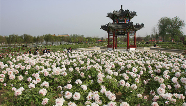 诗画齐鲁，怦然心动，共襄盛世山河春 | 菏泽篇