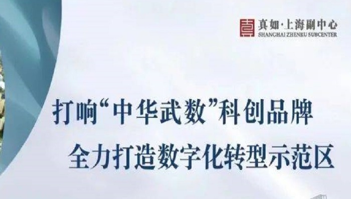 真如副中心公司：踔厉奋发迈上真如新征程，聚力打造面向长三角的会客厅