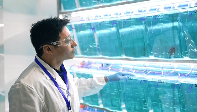 先进科技“鉴证”美好生活，上化检扎根苏州河畔，以专业守护城市本质安全 