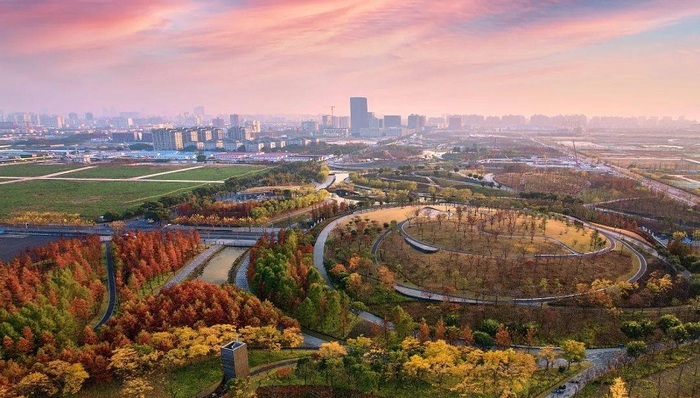 上海桃浦智创城开发建设有限公司：踔厉奋发、埋头苦干，全力推进桃浦智创城高质量发展 