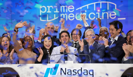 万字长文复盘2022：那些逆势崛起的公司们