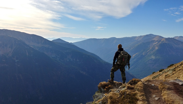 头部企业,发展策略,行业变化,政策,