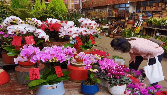 年关将近采购忙，普陀花市鲜花、预制菜热销 