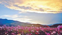 2023春節(jié)旅游成績(jī)單：“開門紅”成關(guān)鍵詞，長(zhǎng)線游重回C位