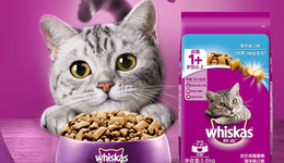 玛氏宠物食品在华任命新帅后，正抢抓新一轮“它经济”机遇期