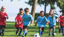 2023年素质教育赛道4大看点