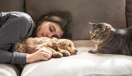 TOPBRAND | 薇美姿/吉家获融资；立顿母公司更名；Superdry否认私有化；adidas将推出新系列品牌