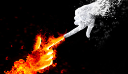 降价=降温？生肖酒市场看不到的“冰与火”