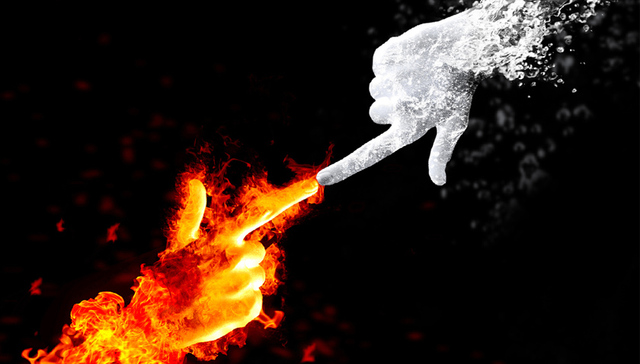 生肖酒,降价,茅台,