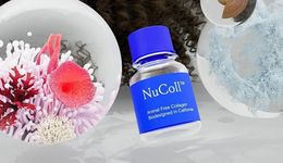 “綠色天然”：驅(qū)動(dòng)原料創(chuàng)新的主導(dǎo)力量