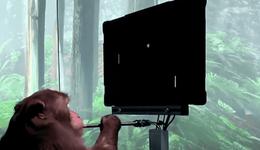 马斯克的Neuralink又被查，脑机接口设备运输中涉嫌传播病毒