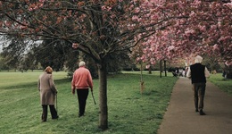 特別策劃 | 暮色將近，我們該如何老去？