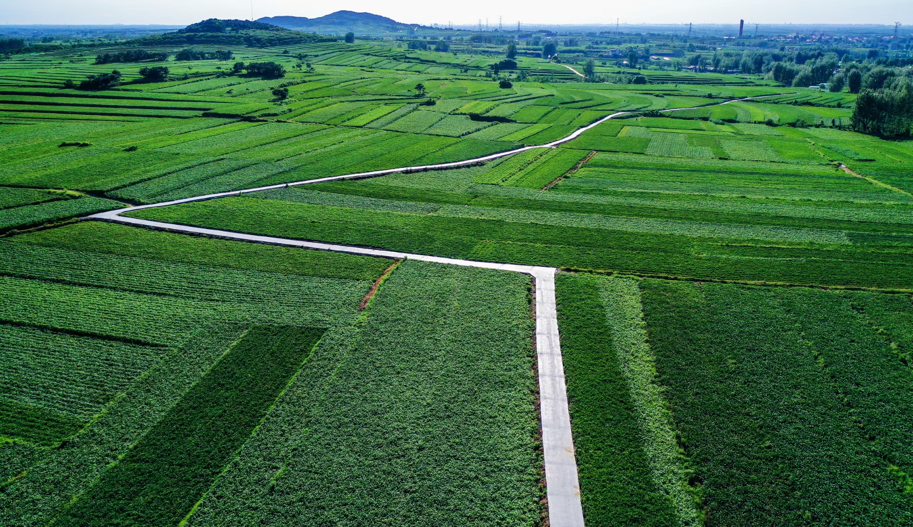 图片来源：临沭县宣传部