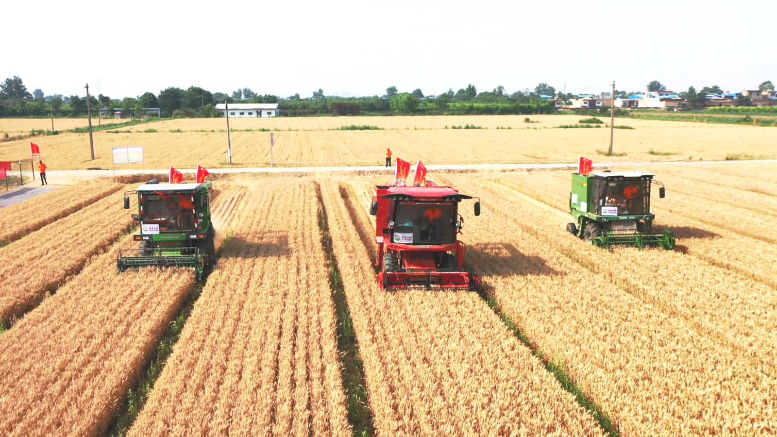 图片来源：临沭县宣传部