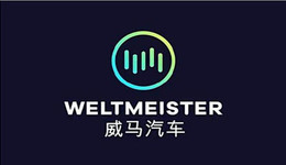 王兴预言成真，掉队的威马已然成为“危马”