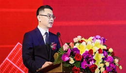 银浆龙头帝科股份董事长将股权激励授予外人受处罚，亲手毁掉公司定增