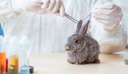 “零残忍”美妆时代到来