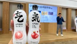 元气森林VS椰树椰汁，谁更懂饮料美学