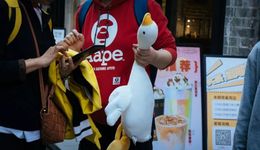 个人养老金开存，银行地推争夺00后