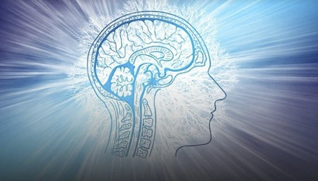 果壳,创业,科技,脑机接口,微灵医疗