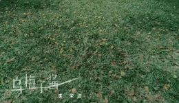 李榮浩的《烏梅子醬》，真的俗不可耐嗎？