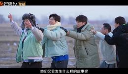 售后综艺疯卷：平台斗法“VIP内容开发力”