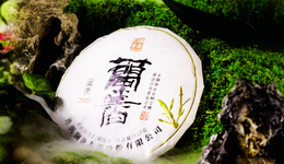 澜沧古茶IPO：一片树叶的古老故事，难以翻新