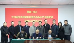 川渝联动，重庆·内江大水面生态修复利用暨白乌鱼全产业链战略合作在渝签约