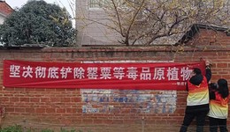 驻马店正阳县真阳街道禁种铲毒工作受好评