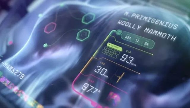 创业,科技,生物科技,猛犸,投资