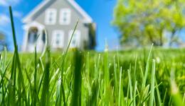 中国割草机器人出海，能否割出一片新天地？