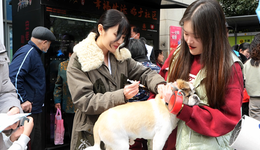 离开游戏行业后，你对新工作满意吗？