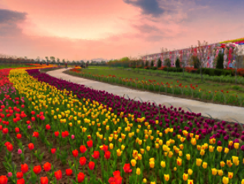 相约安徽·向春而行| 惊艳，芜湖市春季赏花全攻略